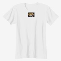 Ladies' Softstyle® Fitted T-Shirt Thumbnail